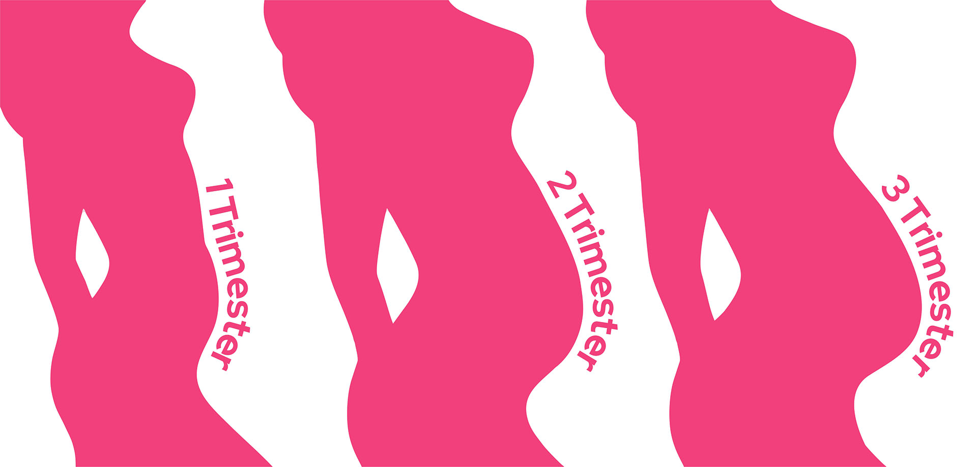 Illustration showing body shape changes during pregnancy