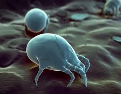 How often should you be washing your bed sheets?