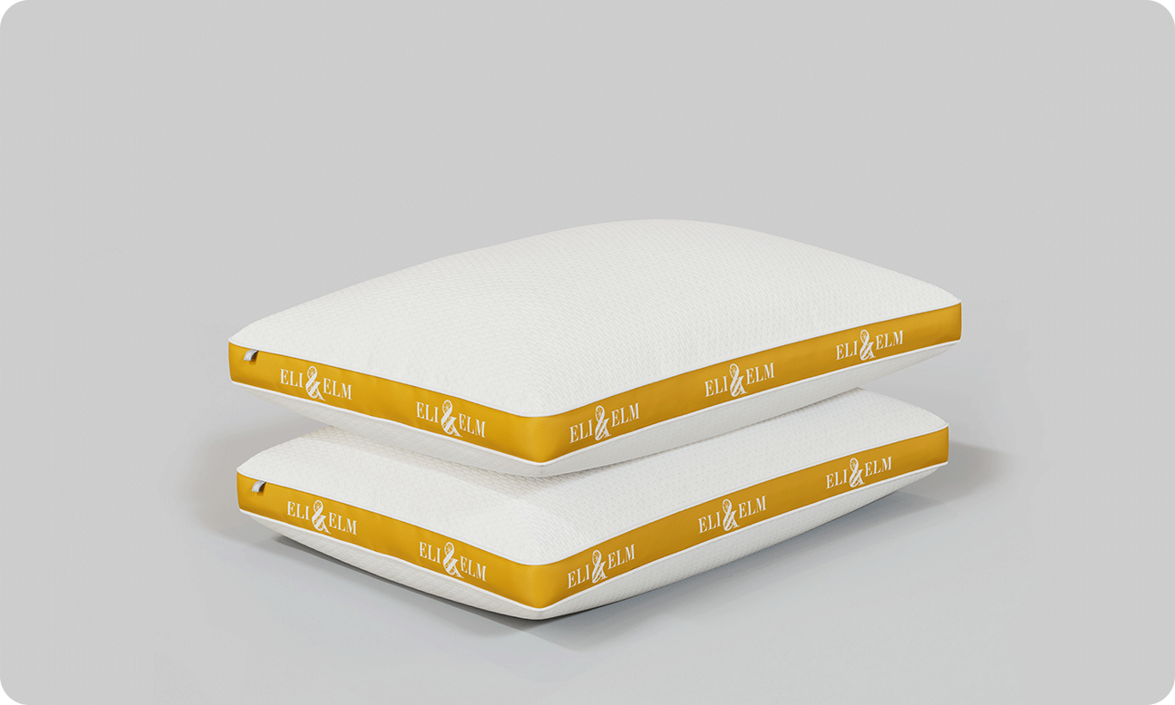 2-Pack Pillow