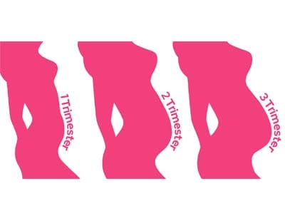 Illustration showing body shape changes during pregnancy