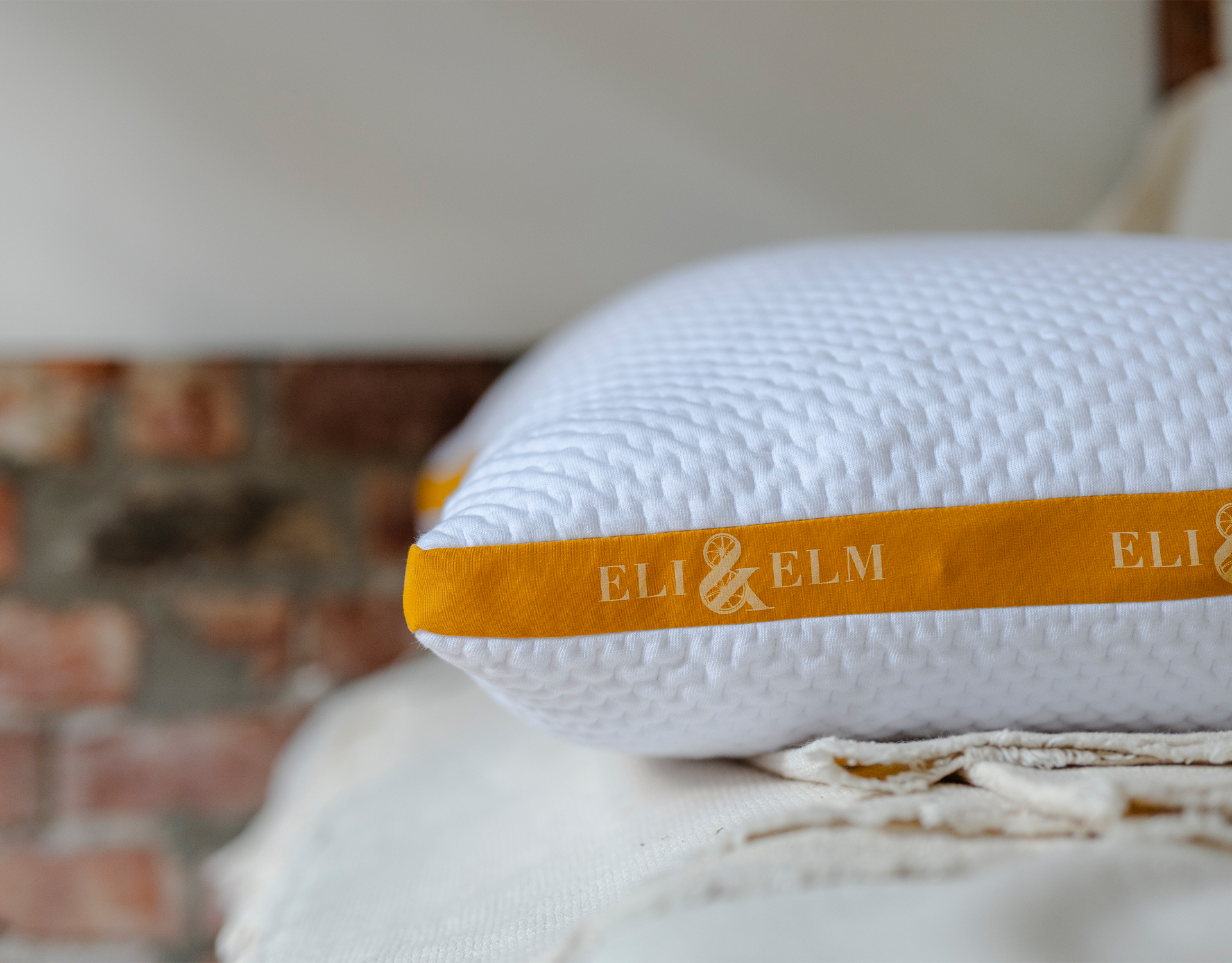 Everyday Pillow