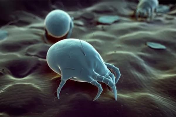 How often should you be washing your bed sheets?