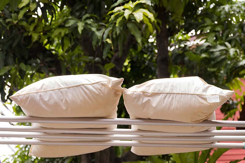 How to Keep Your Pillow Hygenic and Fresh?