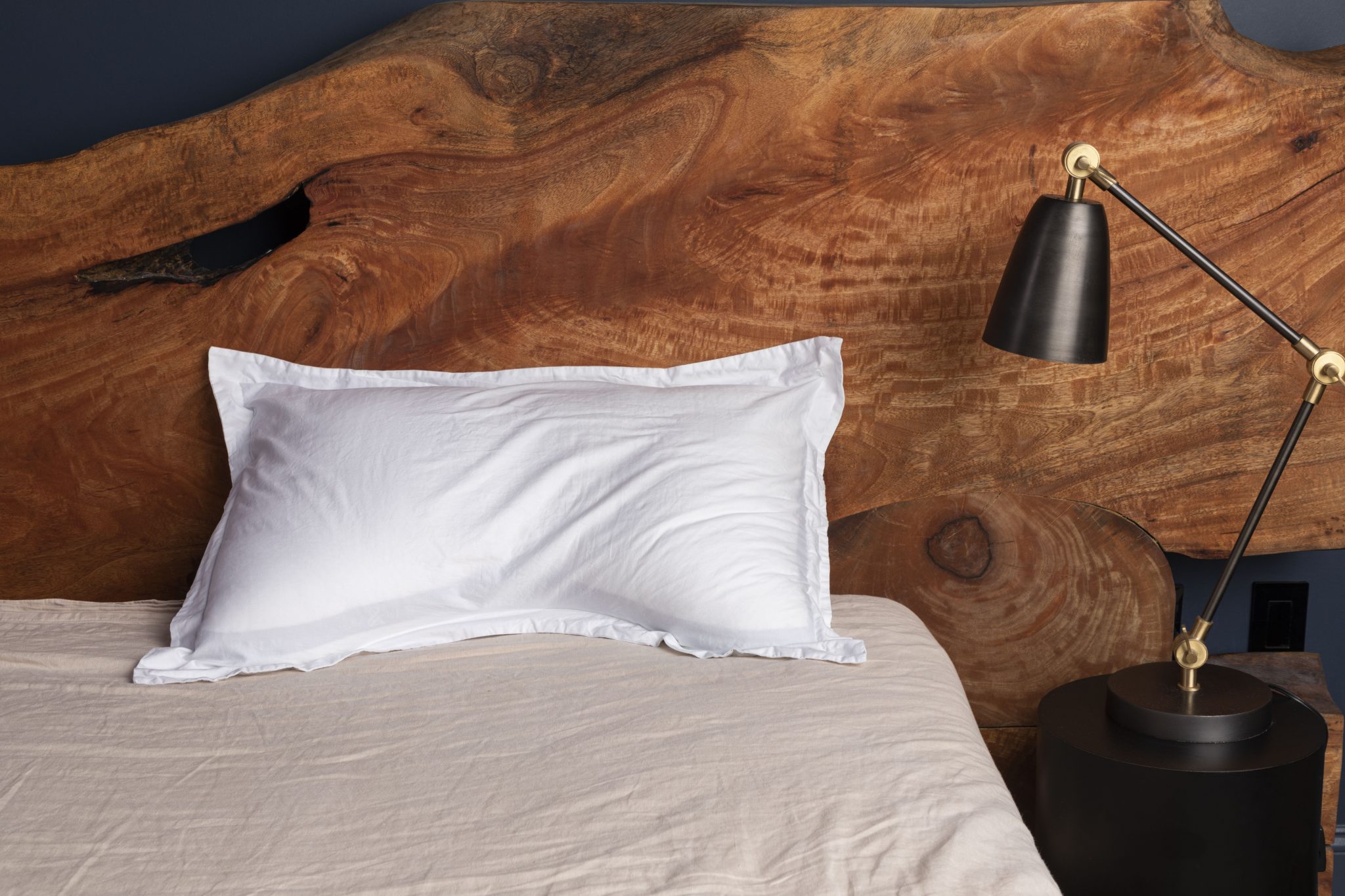 eli & elm cotton side sleeper pillow