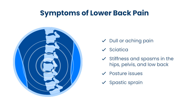 An infographic image representing a section of the spine