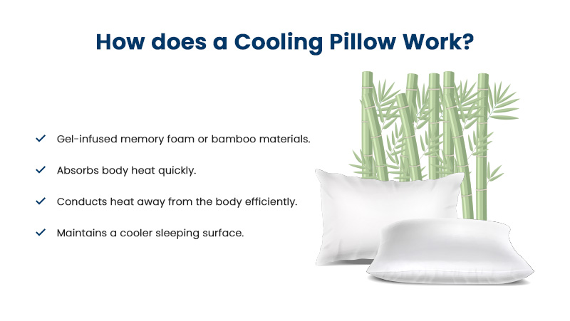 Two white pillows placed in front of a bamboo plant.