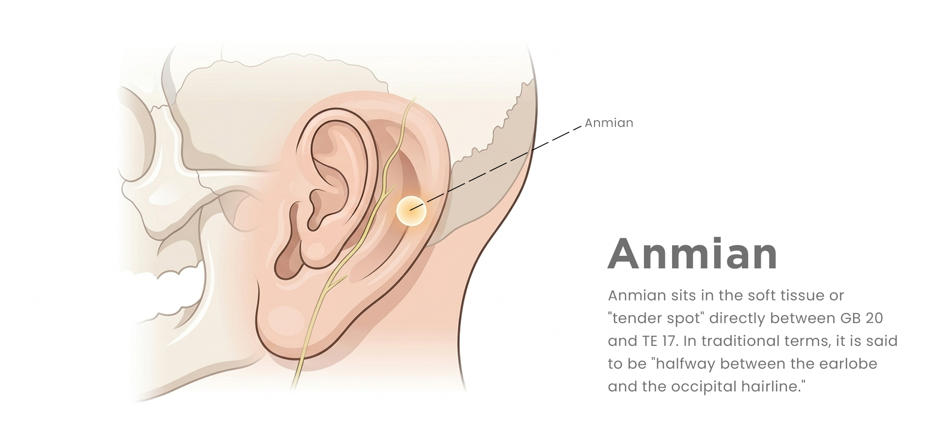 Amnian-peaceful sleep point