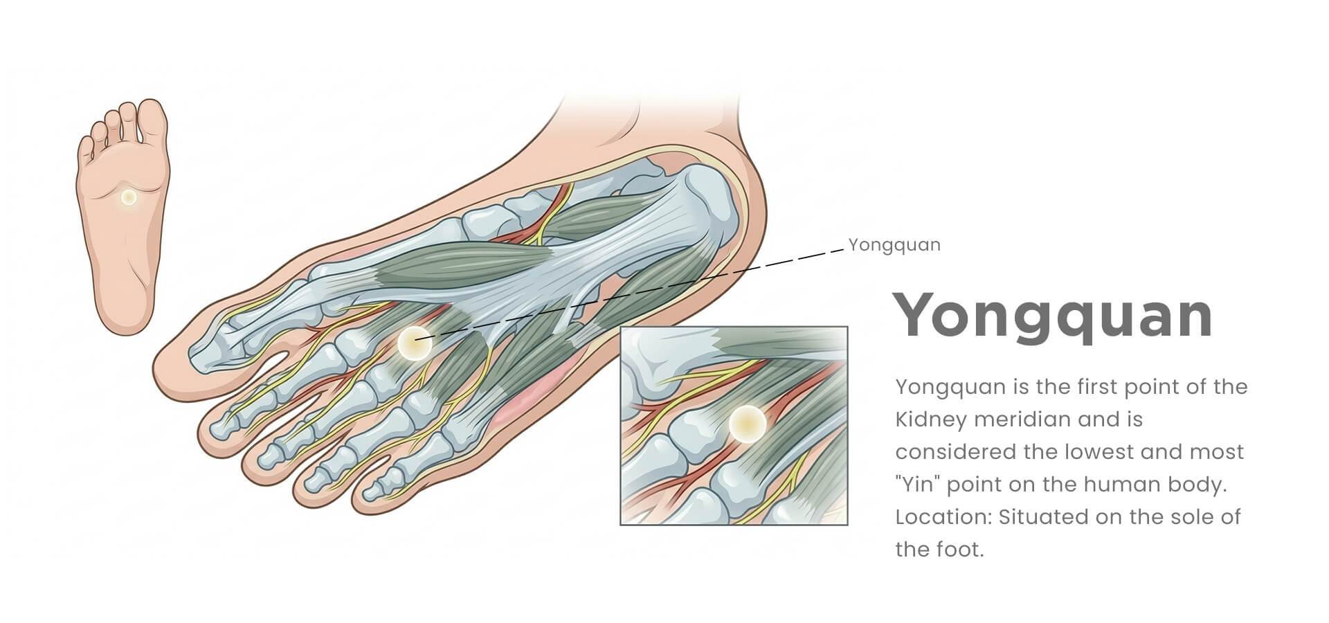 Yongquan-bubbling spring