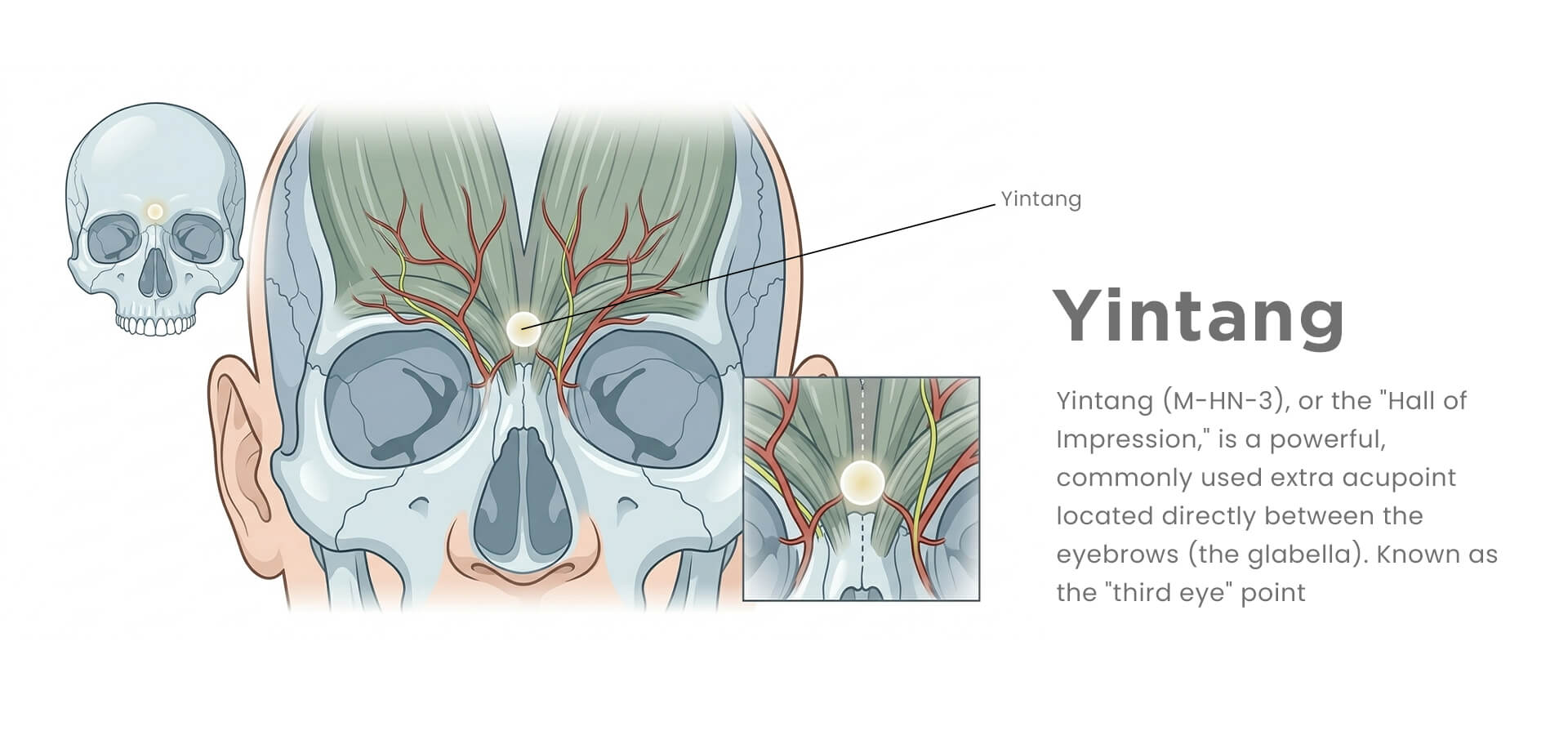 Yingtang-third eye point